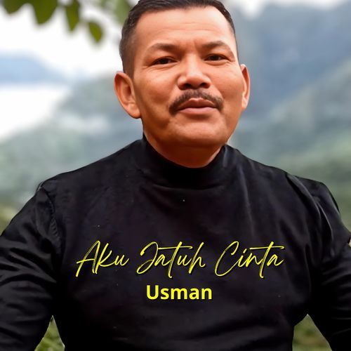 Aku Jatuh Cinta_poster_image