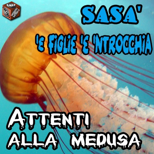 Attenti alla medusa