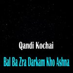 Zama Da Zra Qarara Rasha