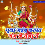 Bhula Jaibu Narpatganj Ke Mela Me artwork