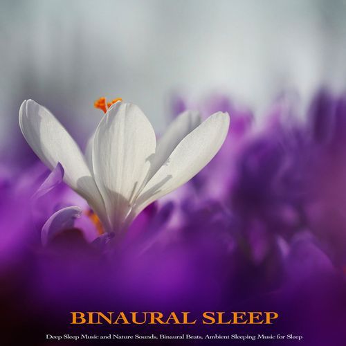 Ambient Music For Deep Sleep