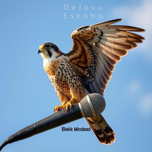 Ngwanole cover art