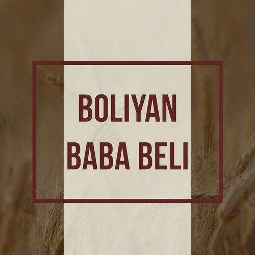 Boliyan