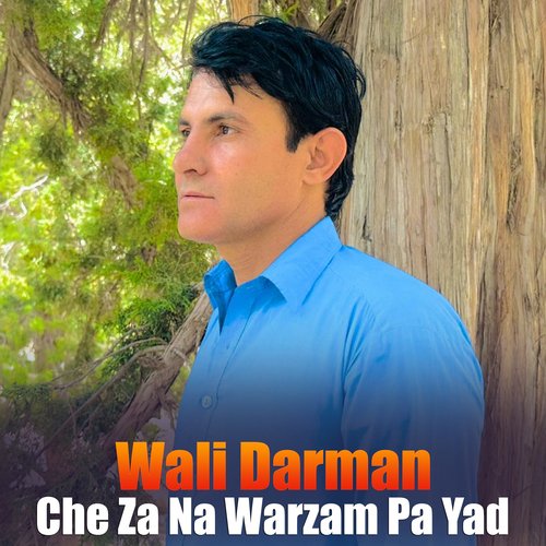Che Za Na Warzam Pa Yad
