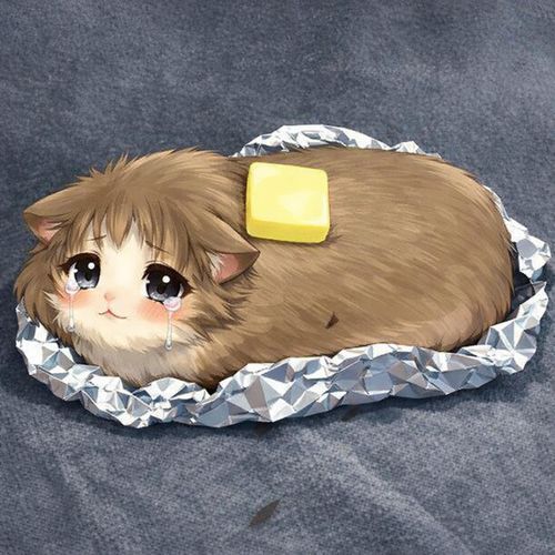 Die Butterkatze  (Violine Mix)