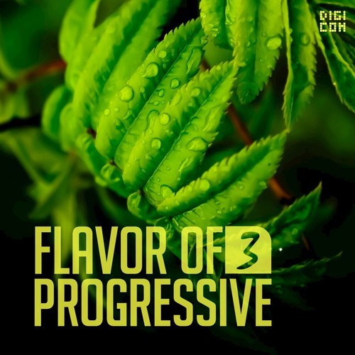 Flavor of Progressive 03
