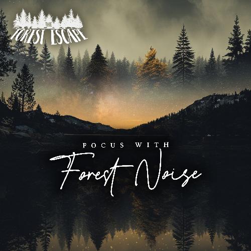 Focus With Forest Noise_poster_image