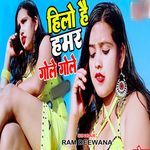 Hilo Hai Humar Gole Gole
