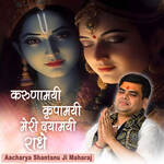 Karunamayi Kripamayi Meri Dayamayi Radhe