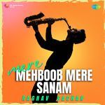 MERE MEHBOOB MERE SANAM artwork