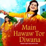 Main Hawaw Tor Diwana