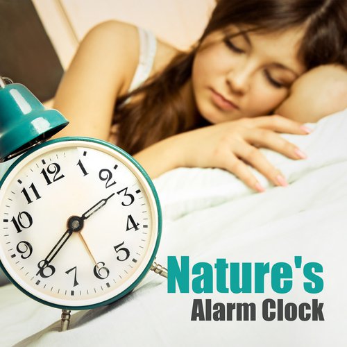 Nature's Alarm Clock