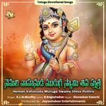 Nemali Vahanuda Muruga Swamy Shiva Puthra