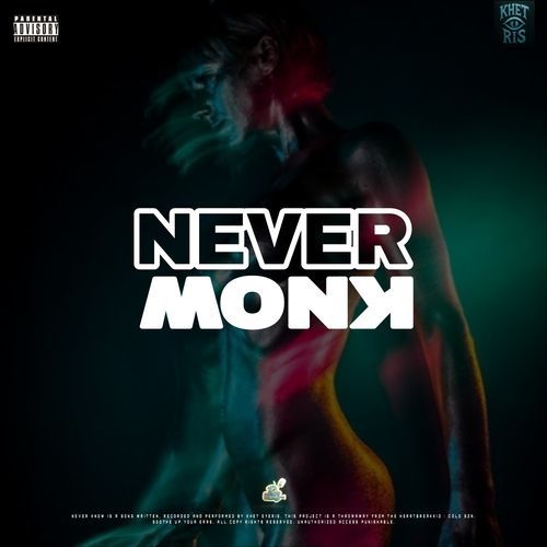Never Know cover art