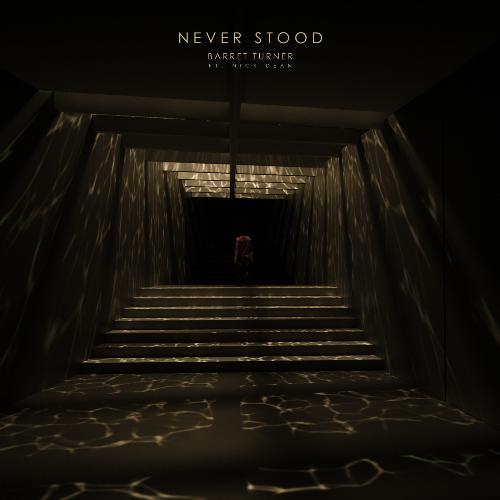 Never Stood_poster_image