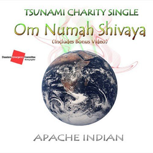 Om Numah Shivaya_poster_image