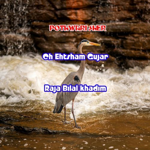 Pothwari sher