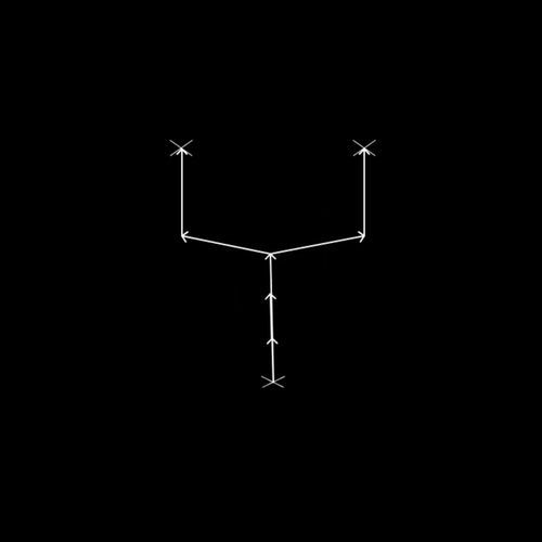 Replycator