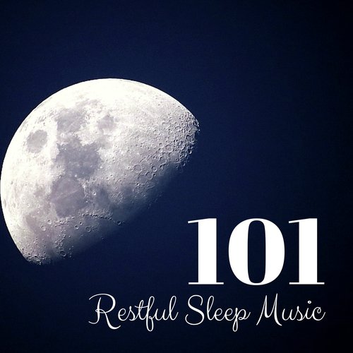 Morning Sleep cover art