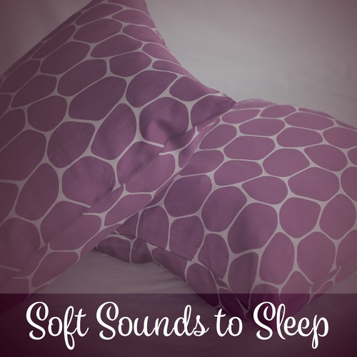 Sleep Late cover art