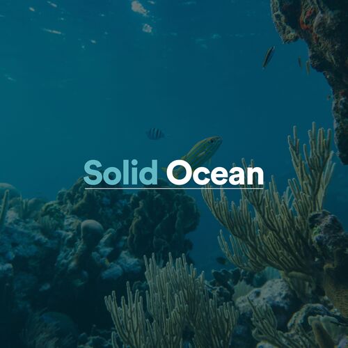 Solid Ocean