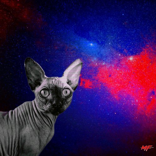 Sphynx