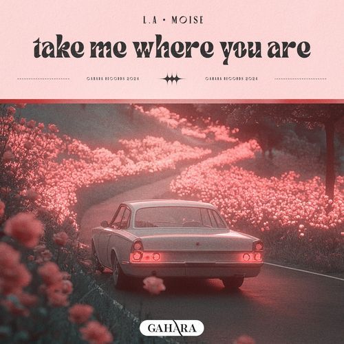 Take Me Where You Are_poster_image