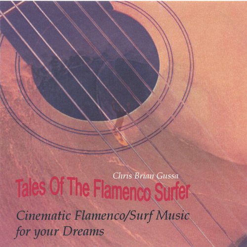 The Flamenco Surfer cover art