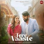 Tere Vaaste artwork