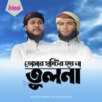 Tomar Sristir Hoyna Tulona