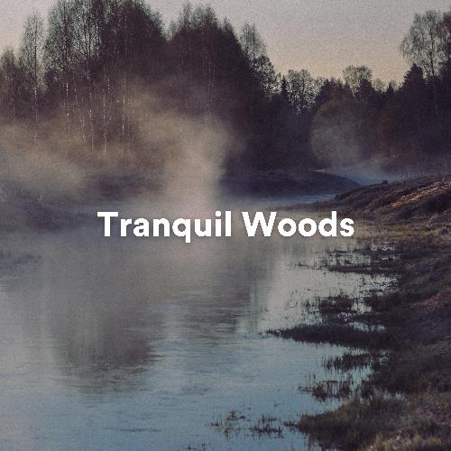 Tranquil Woods_poster_image