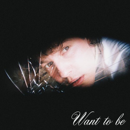 Want to Be_poster_image