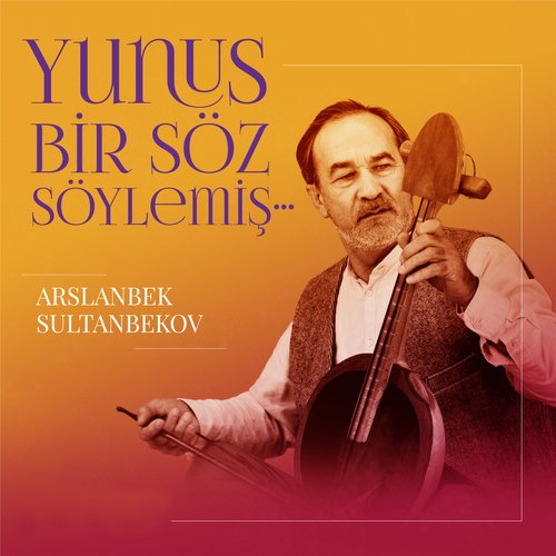 Sen Derviş Olamazsın cover art