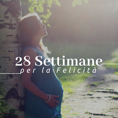 28 Settimane per la Felicità: la Miglior Musica Strumentale Rilassante con Suoni della Natura