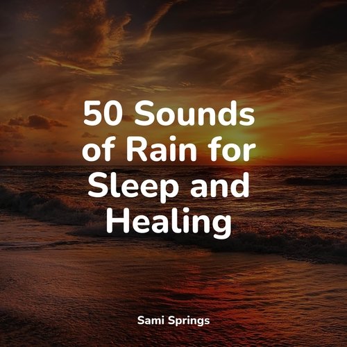 50 Loopable Rain Sounds for Zen Spa_poster_image