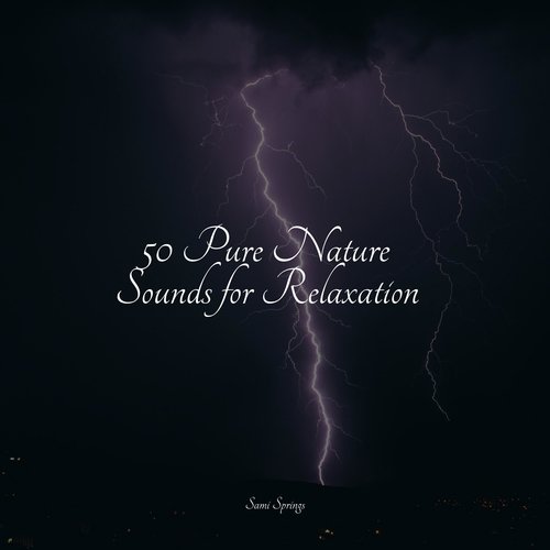 50 Pure Nature Sounds for Relaxation