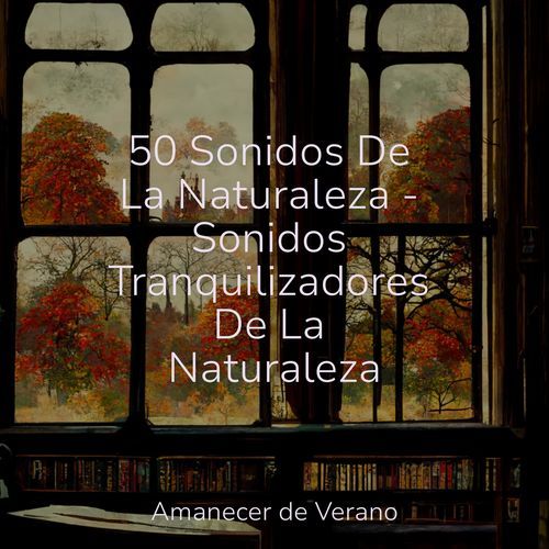 50 Sonidos De La Naturaleza - Sonidos Tranquilizadores De La Naturaleza_poster_image