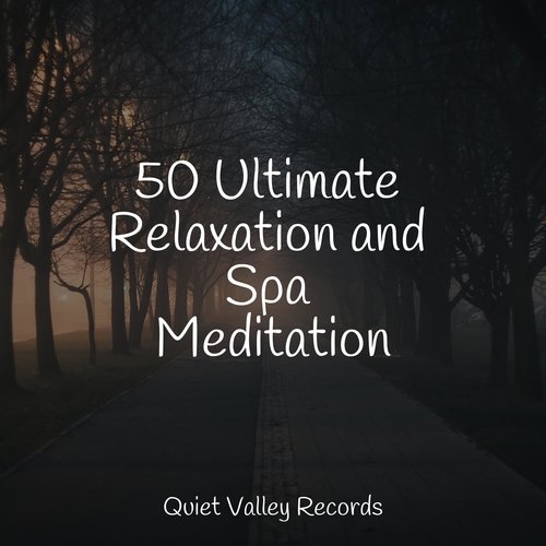 50 Ultimate Relaxation and Spa Meditation