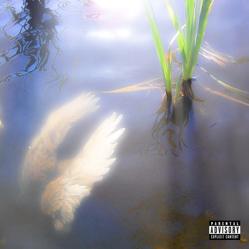El éxito no se siente igual cover art