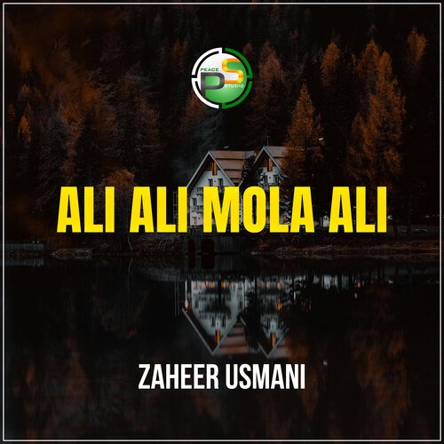 Ali Ali Mola Ali