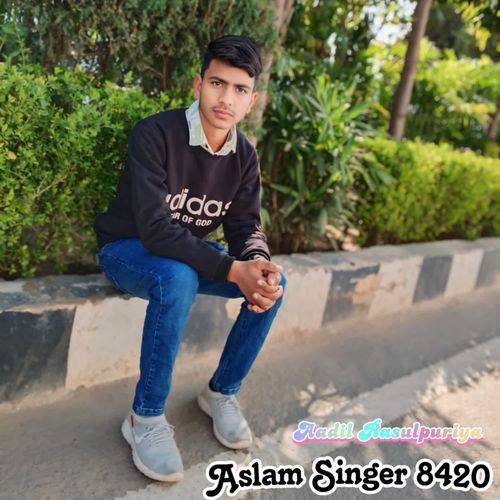 Aslam Singer 8420