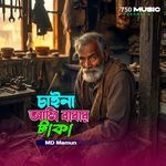 Chai Na Ami Babar Taka