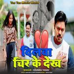 Dilwa Chir Ke Dekh