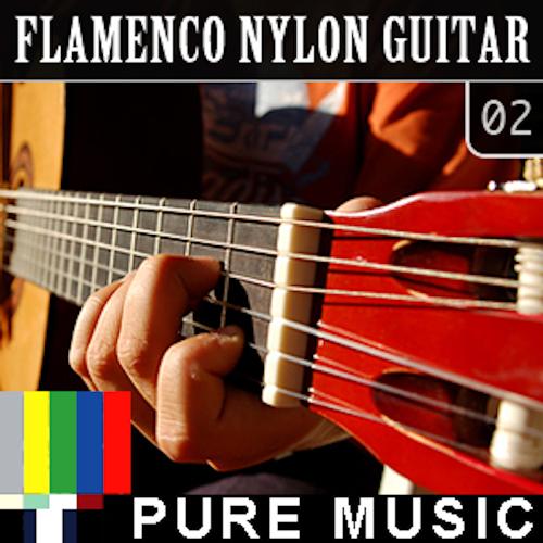 Flamenco Nylon Guitar, Vol. 2_poster_image