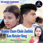Hamke Chare Chole Jachhis Kon Mataler Song