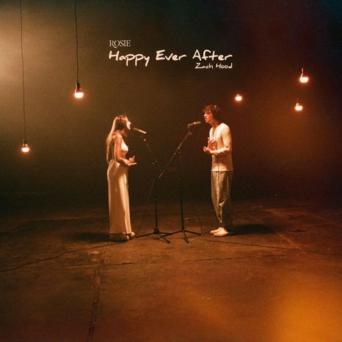 Happy Ever After_poster_image