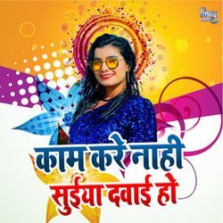 Kam Kare Nahi Suiya Dawai Ho