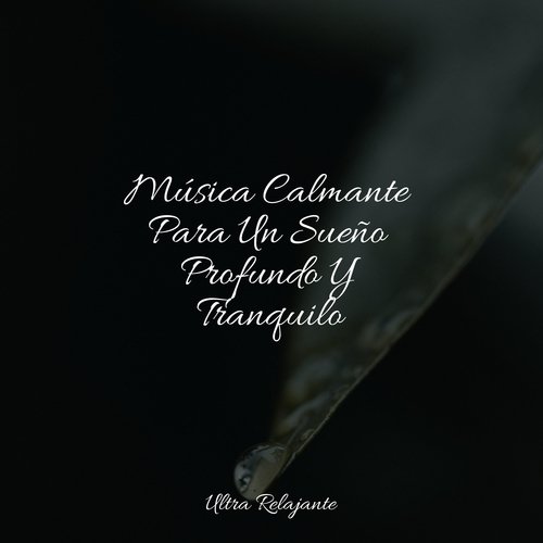 Música Calmante Para Un Sueño Profundo Y Tranquilo