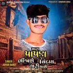 Mara Papan Bhinjashe Viday Tari Thase