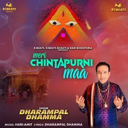 Meri Chintapurni Maa-Iz0GSDJiRGs